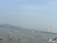 -深圳湾公园(南山区)
