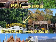 -西双版纳傣族园