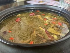 -蘑统田下·野生菌火锅