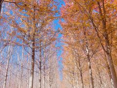 -玉渡山自然风景区