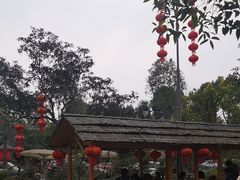 -青城甲(青城山店)