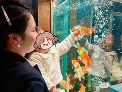 -浩运海鲜·16年专注青岛菜(石老人店)