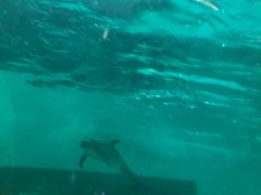 -波塞冬旅游度假区