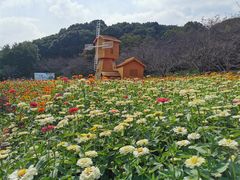-上方山森林动物世界