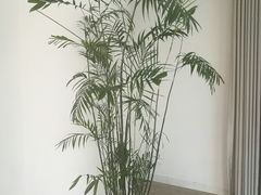-泰康之家·申园