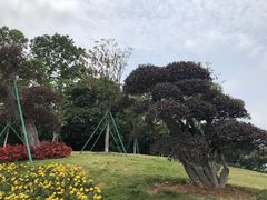 -东莞植物园