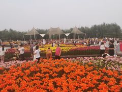 -长春公园(普阳街道)