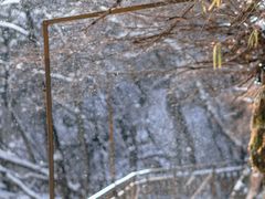 -青峰峡国家森林公园