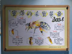 -上海昆虫博物馆