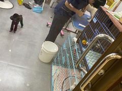 -瑞鹏宠物医院·骨科·猫科·内科(第一中心)