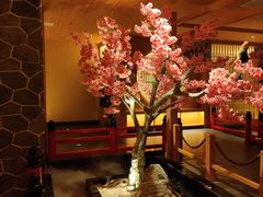 -蓝鲸湾汤泉(包河店)