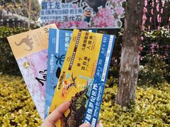 -自然谷恐龙园