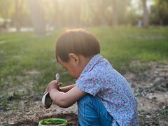 -永定河休闲森林公园