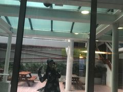 -香港大学