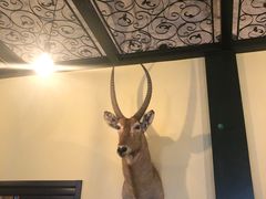 -普兰达德国餐厅·德式脆皮烤猪肘·自酿啤酒(观唐店)