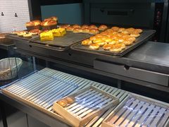 -蒲公英(五里店)