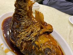 挣蹦鲤鱼-奥华餐厅·老张记(台基厂店)