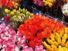 -循礼门鲜花花市(武汉循礼门店)