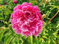 -长春公园(普阳街道)