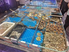 -大连湾旭日·家宴·海肠捞饭(马栏广场店)