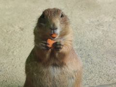 -杭州野生动物世界
