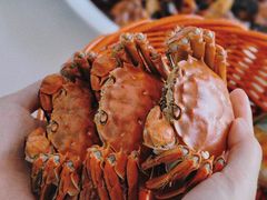 -品鲜村农家菜·阳澄湖大闸蟹(总店)