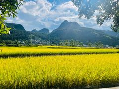 -万峰林风景区