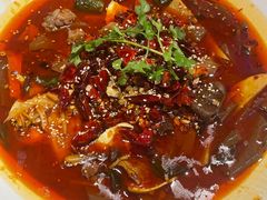 招牌毛血旺-映水芙蓉(长宁来福士店)