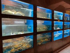 -海上明月海鲜火锅 鲜切牛肉