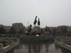 -秦始皇帝陵博物院(兵马俑)