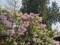 -西安市广仁寺