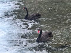 -水磨沟公园