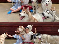-TrueLove @ Neverland (Husky Cafe)