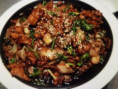 -秀儿四九城·新京菜(亚运村鸟巢店)