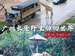 -广州长隆野生动物世界