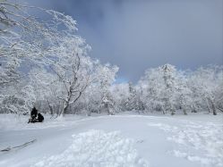 -大秃顶子山