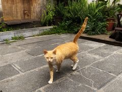 -知亘茶食