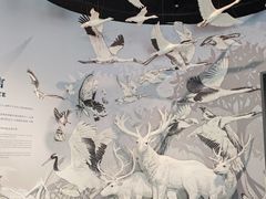-中国湿地博物馆