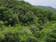 -梅岭月亮湾山体公园
