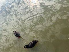 -牛岗山公园