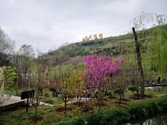 -白鹿原影视城