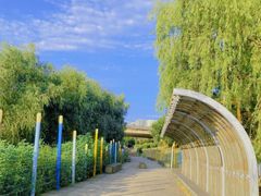 -长白岛森林公园