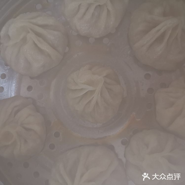 自制香喷喷的五花肉包子