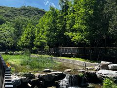 -白水寺森林公园