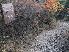 -北京十三陵国家森林公园蟒山景区