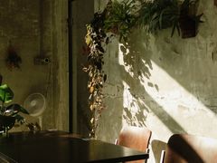 -怪 kafe.