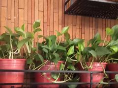 -国人川菜(李家村建东街店)