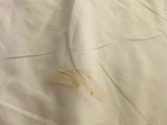 -无锡新湖铂尔曼大酒店