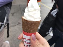 -富豪雪糕车流动点(尖沙咀店)