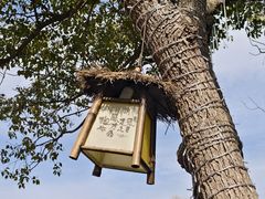 -沙家浜风景区